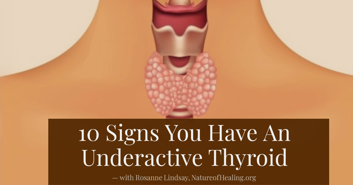 Ten Signs You Have An Underactive Thyroid Nature Of Healing